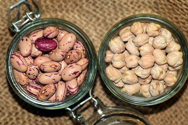 protein rich foods for vegetarians